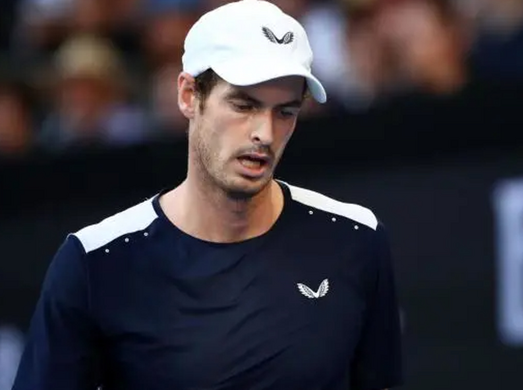 年终总决赛完胜澳网,穆雷刷新纪录 年终总决赛完胜澳网,穆雷刷新纪录