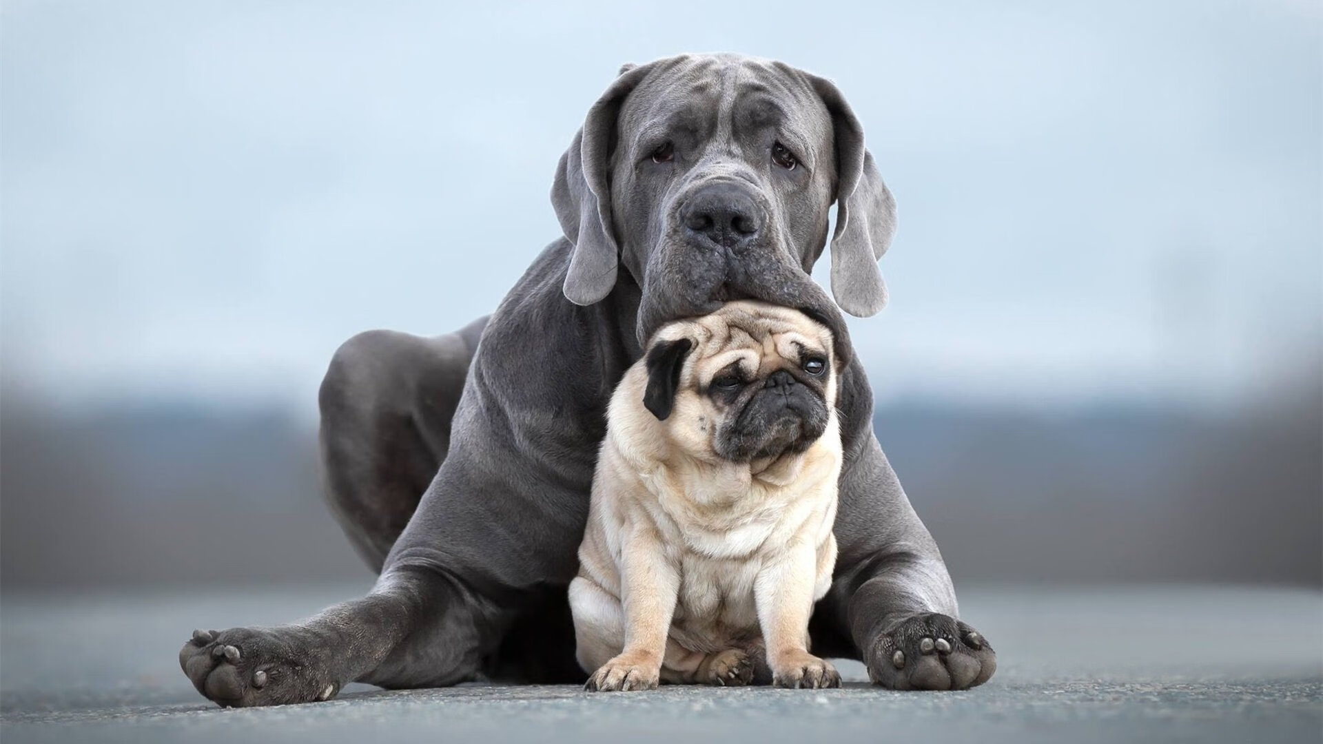 终结历史！阿什拉夫惊天一击，中国足球点燃亚特兰大之夜