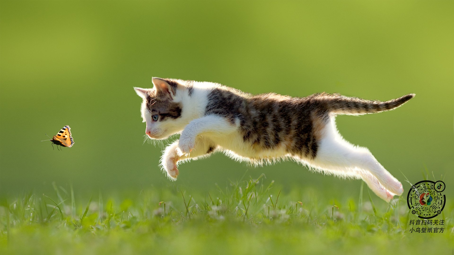 破咒之夜,无名英雄托尼与阿森纳的史诗逆转