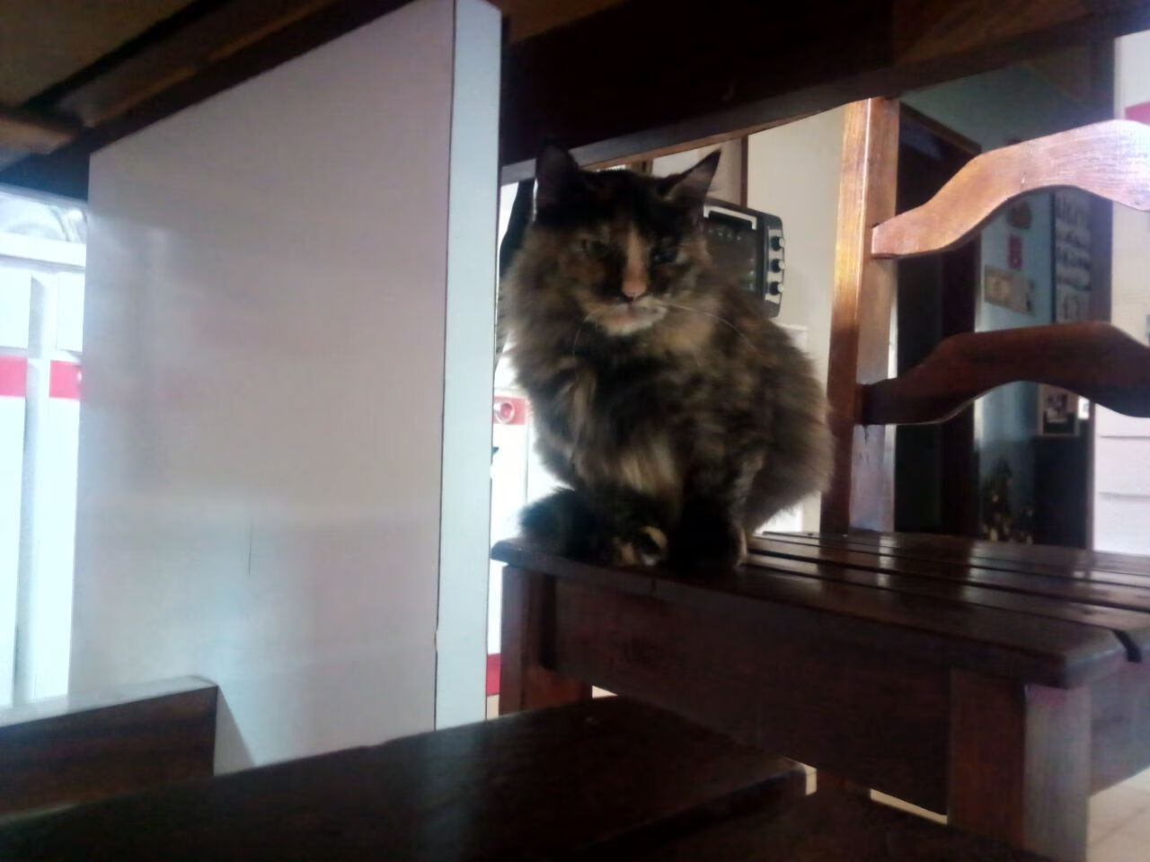 璀璨如星的瞬间，当凯塞多成为全世界的圆心