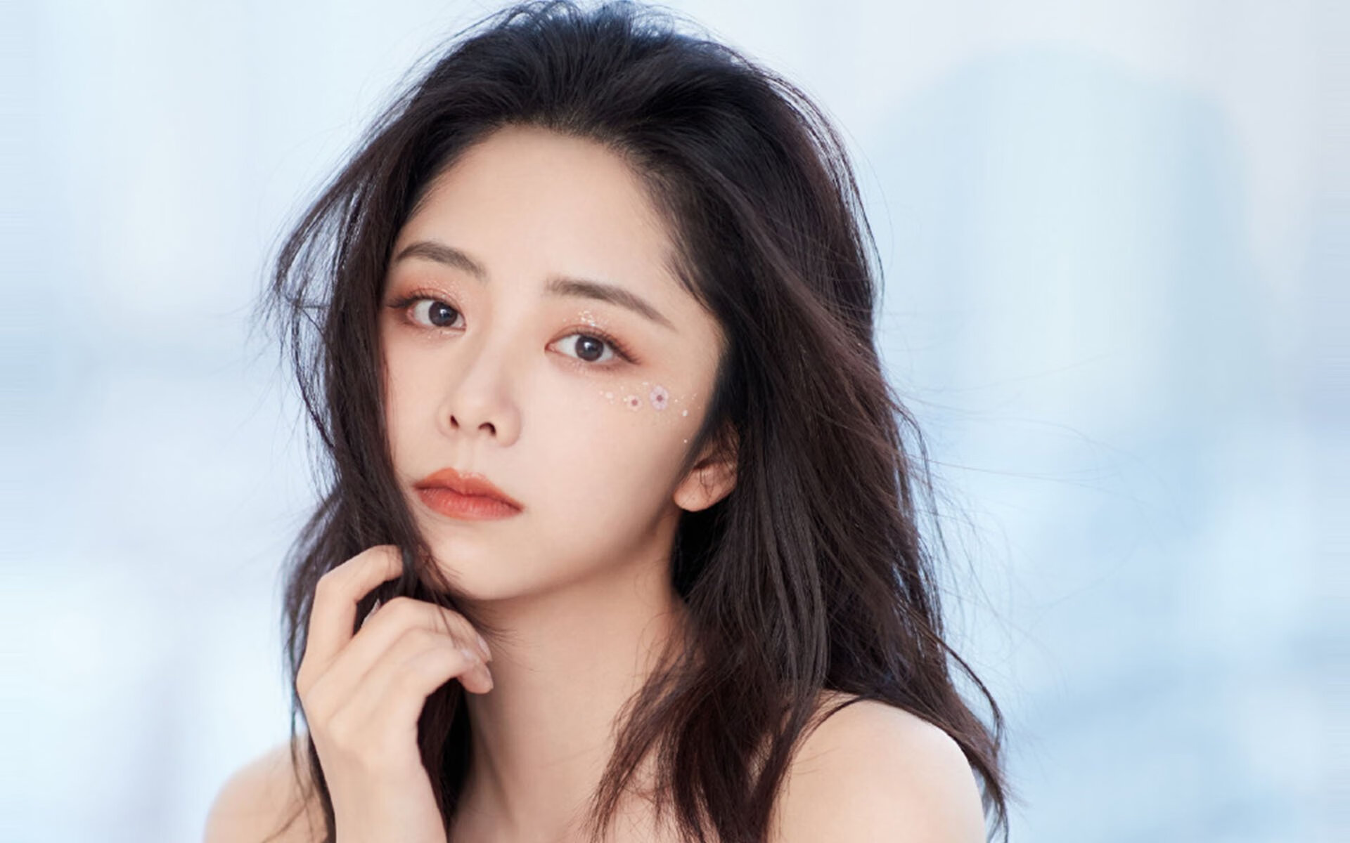 稳定学,从约基奇到辽宁队的胜利哲学