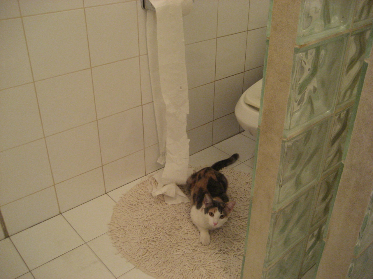 篮球欧冠半决赛焦点战,76人强行终结掘金,晋级决赛