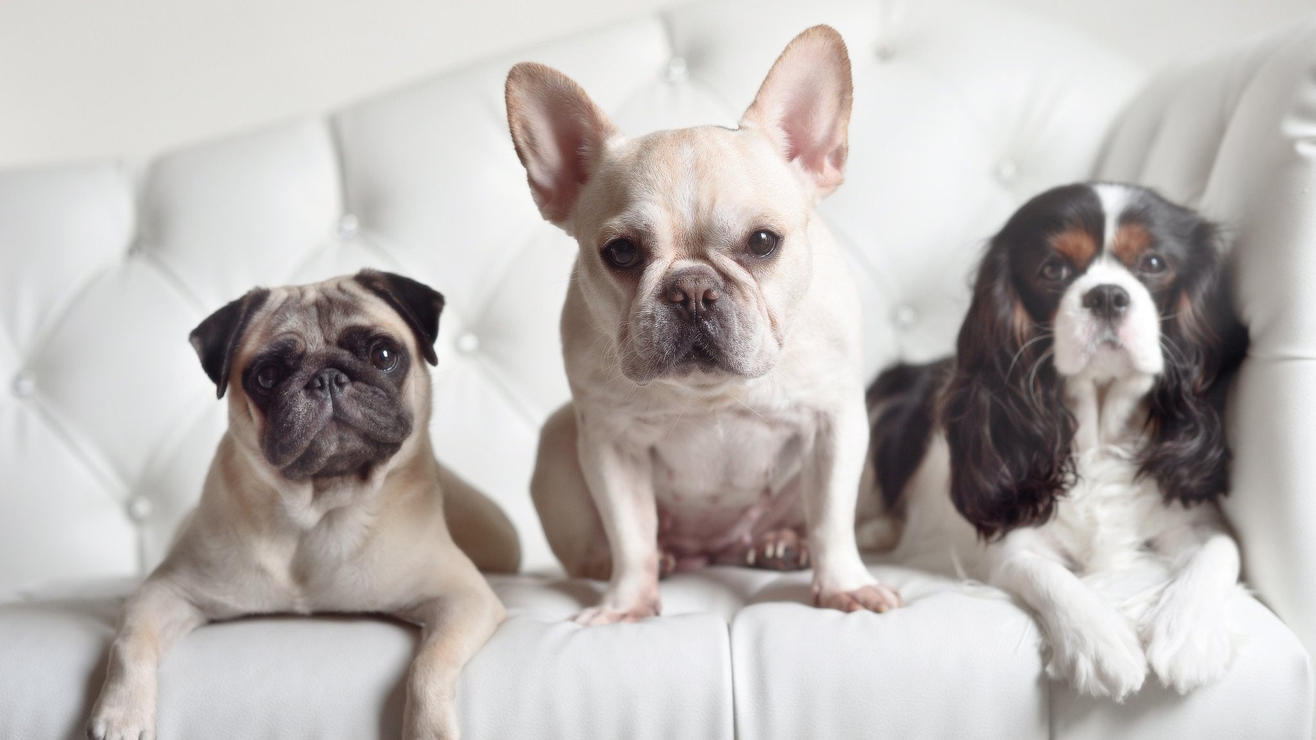 绝杀英雄！昔日冠军陷落，基耶萨一箭定乾坤，书写蓝衣军团新传奇