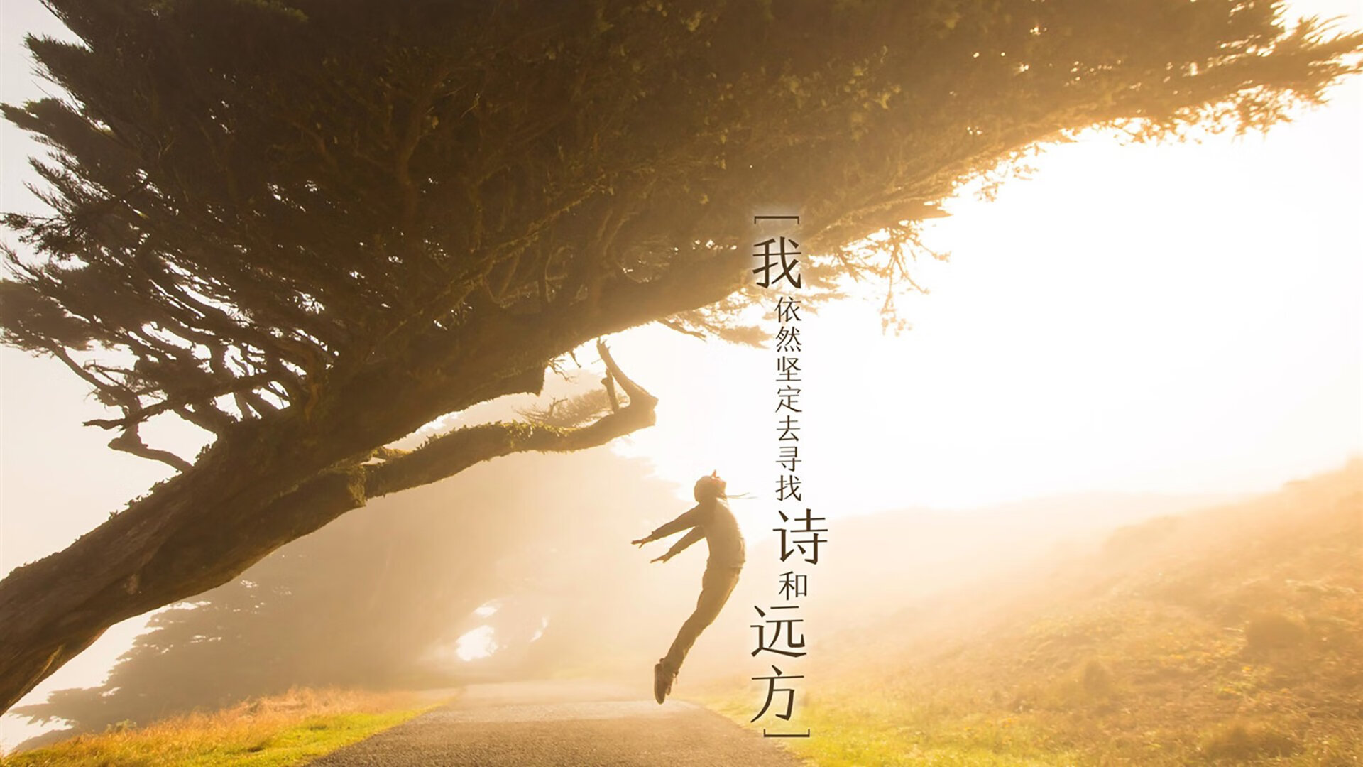 闪电战!塞维利亚第三节狂潮击溃乌克兰,世界排名争夺战再添变数