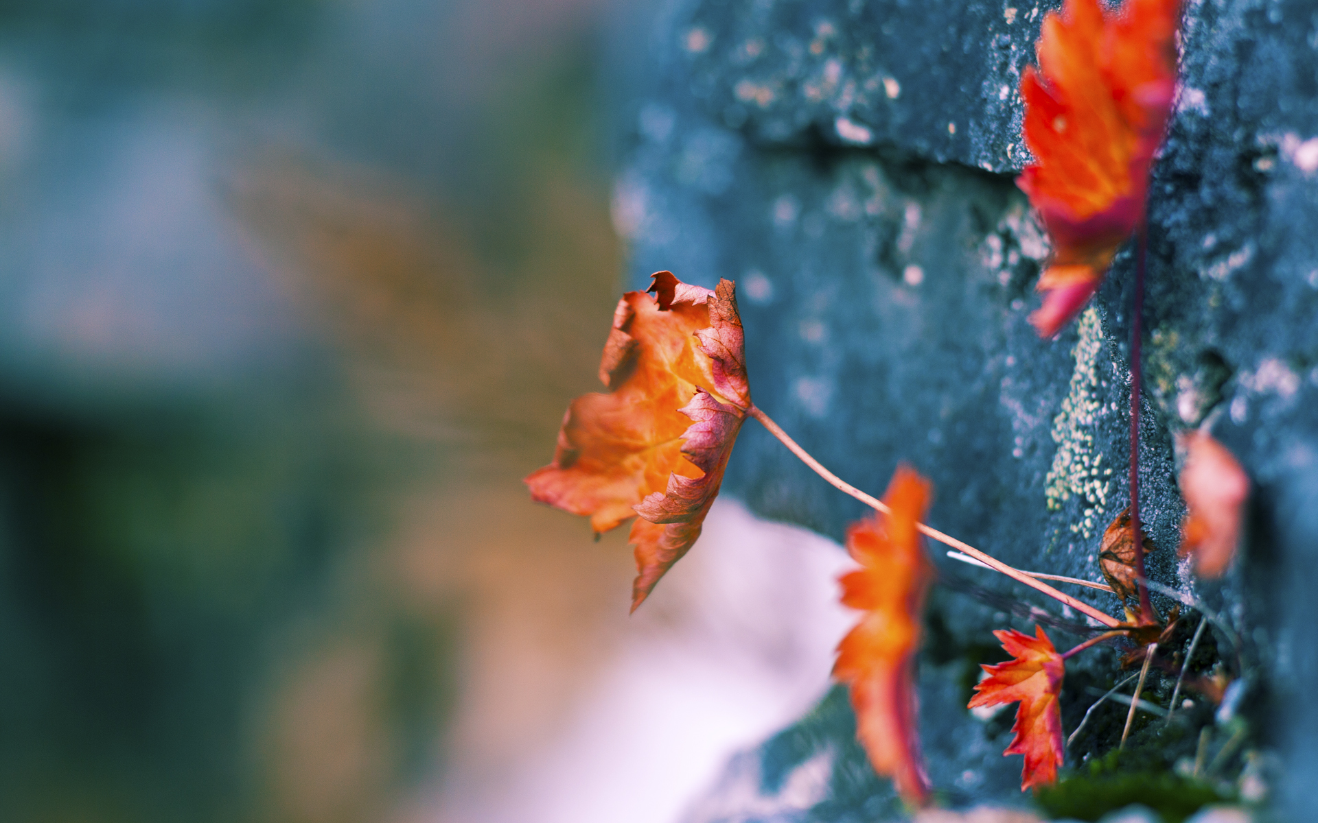 西甲病榻上的收割,如何在意甲焦点战酿成风暴,马里之伤与努涅斯的唯一性接管