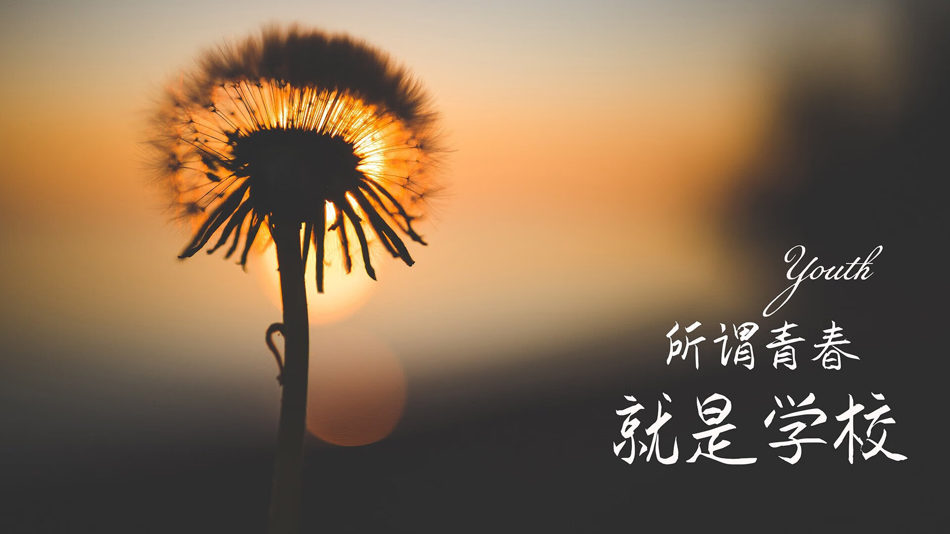 蓝色卫冕者的独白，坎塞洛如何用一己之力，在2026世界杯H组改写巴西与斯洛伐克的历史坐标