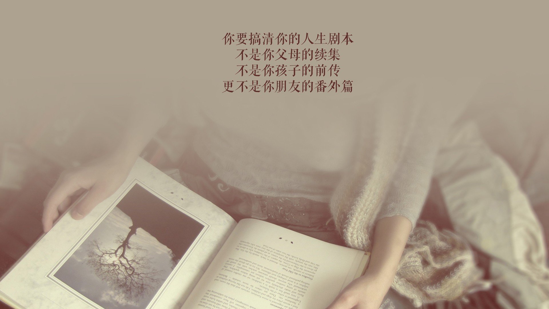 郁金香折戟,航海家归航,努涅斯三秒刺穿荷兰,定义了D组唯一的倒置美学