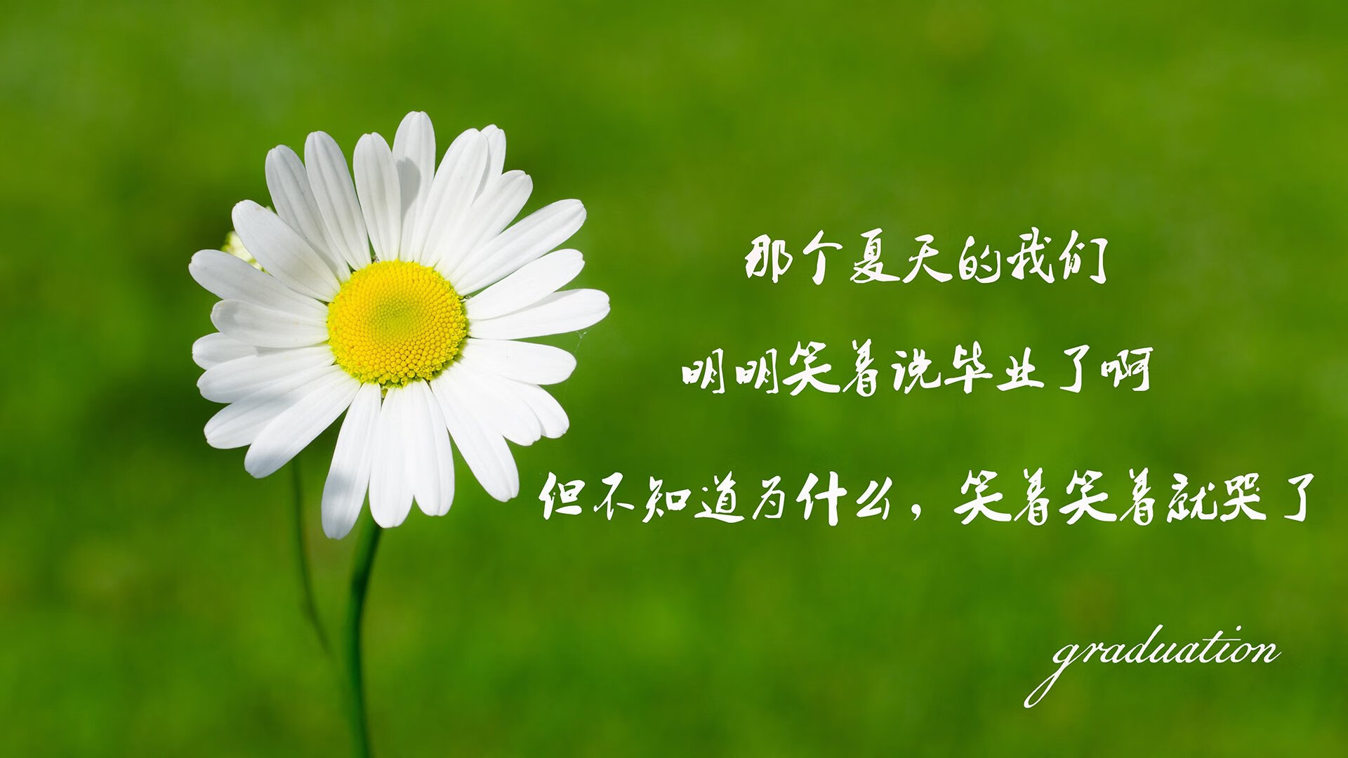 极光吞噬暹罗，凯恩的战术权杖，如何在2026世界杯F组缔造冰岛横扫泰国的唯一密码